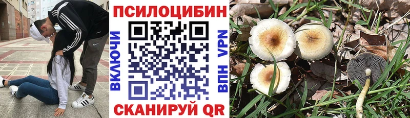 что такое   Северо-Курильск  Галлюциногенные грибы MAGIC MUSHROOMS 